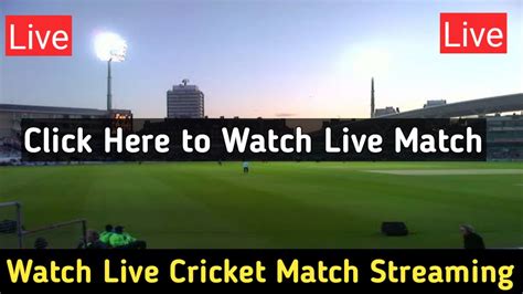 live cricket match streaming